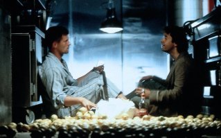 100% постоянно употребляющих соль - умерли!
100% никогда не употребляющих соль - умерли!!
100% употребляющих соль в умеренных количествах - умерли!!!

Бояться глупо, Руди!