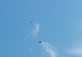 Вот эта парочка Т-50 будет прелставлена, пролетают над моим домом!