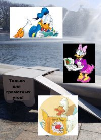 15 отличных бытовых решений, которые так давно напрашивались, что, наконец, появились