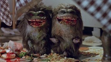 А это точно перекати-поле?)