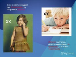 Мальчики направо, девочки налево. 14 самых креативных туалетных знаков в мире