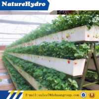 Пробовал я вериткальный сад, фигня полная. Рассаду очень сложно сажать в эти прорезы, удобрение только в жидком виде. Вода скапливается снизу - сверху сухо, снизу плесень растет. Если делать то только как на картинке (см. ниже)