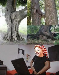 богатая фантазия у автора