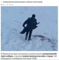 Смешные и пугающие комментарии из соцсетей и переписок