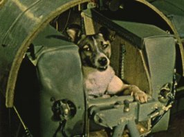 Памятник Лайке - первому животному в космосе, чьё возвращение не планировалось.