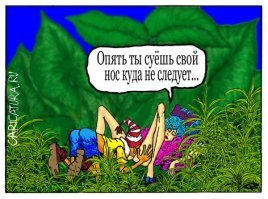 Буратино и т.д