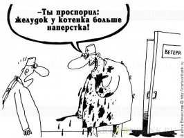 Ветеринарный юмор