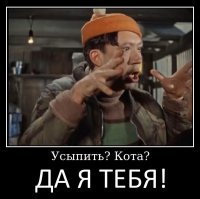 Кот прошел 12 миль, чтобы вернуться в семью, а его решили усыпить