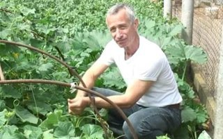 Людьми нас делает сила земли