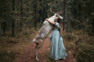 Лесная сказка: фотографии Ольги Баранцевой