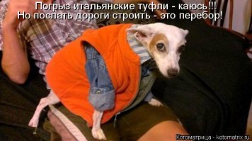  Владелица испорченной обуви устроила допрос своим собакам