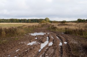 Мне название понравилось! Эдак, выходишь на такую дорогу и, вздохнув всей грудью, громко: "Ш-О-О-О-П-И-Н-О!!!"