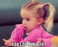 Японский гид с навыками ниндзя удивил туристов