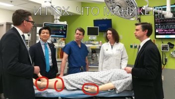 Сюдя по фото из поста, ребята хер не НЕ тому. а не туда пересадили!