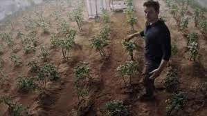 скажи это ему