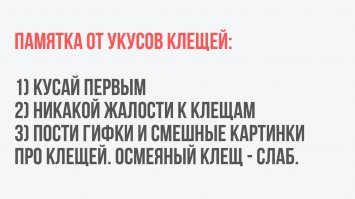 Регионы России, где вас, скорее всего, укусят на праздниках