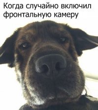 Картинки с надписями для настроения