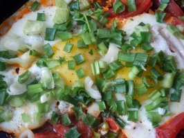 вот Пища Богов моей юности яичница с (должны быть но картинку не нашел) зелеными помидорами зеленым луком и укропом . блин вкуснее в жизни ничего не ел