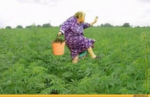 Матвевна, ты супер!