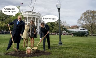 Куча Трампа и Макрона разорвала соцсети