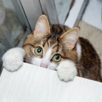 Что тут творится?Почему не знаю?