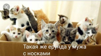 Через 5 минут: