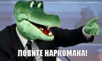автор жгёт!