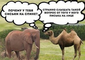 Такое просто нельзя не заметить