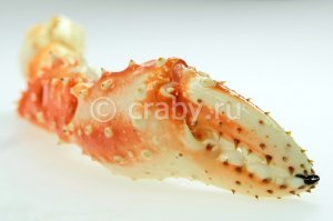 Сначала их делали из рыбы, сейчас из теста.
Брат служил на камчатке и присылал крабов.
Поразило то что на клешне прям таки "человеческие" зубы.
На картинке плохо видно , но там реально человеческие коренные зубы