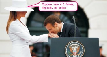 Куча Трампа и Макрона разорвала соцсети