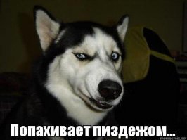 Ага был салон серый, стал коричневый. Были сидения с электроприводом,  остались без него.