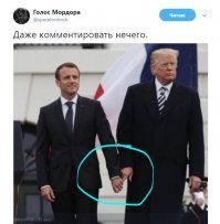 Куча Трампа и Макрона разорвала соцсети