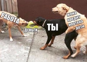 Что они творят, эти необыкновенные животные?
