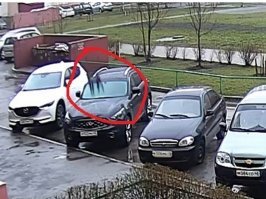 Тайсон красава,держит прыжок.Здоровья его лапкам ))