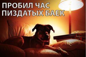 История одной вписки