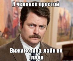 Очень колоритные уличные коты