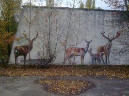 А я реально побродила...