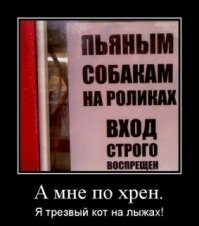 В хинкальной объявили: вход со своей сметаной запрещен