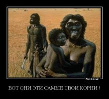 Вот так замес! Разбираемся в прошлом знаменитостей