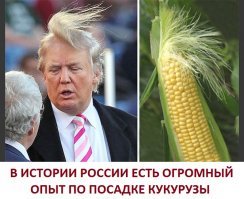 Журналисты обнаружили близнеца президента Трампа в Испании