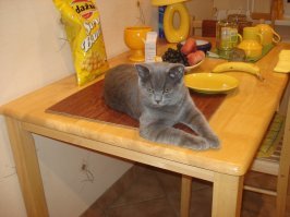 обязательно..последний вариант самый подходящий.