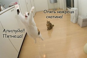 Ну, с пятницей! Рюмки, рюмочки, рюмашки, лафитники, стопочки, стаканчики