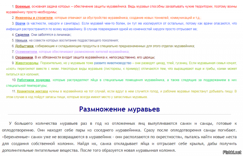 Ну что же можно на это с другой точки зрения посмотреть.
С точки зрения муравьёв.

У каждого из них своя роль. И кто из них нормален , а кто нет??