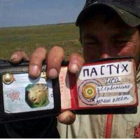 Фотоприколы
