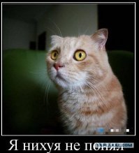 Подборка автомобильных приколов