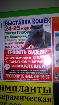 Вот еще один пример "удачно" расположенной рекламы: