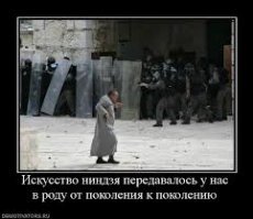 Японский гид с навыками ниндзя удивил туристов