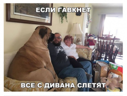 Это точно не повезло мужикам с хозяйкой!!! :-)