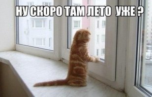 Когда в папке "коты" 407фото/демотиватора, то сложно выбрать картинку, НО может вот эта-)