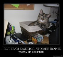 Модная блогерша оставила квартирным хозяевам убитый дом и долги